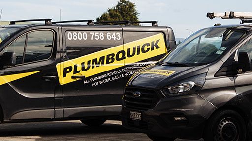 Professional Tamaki Plumbers